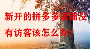 新開(kāi)的拼多多店鋪沒(méi)有訪(fǎng)客該怎么辦